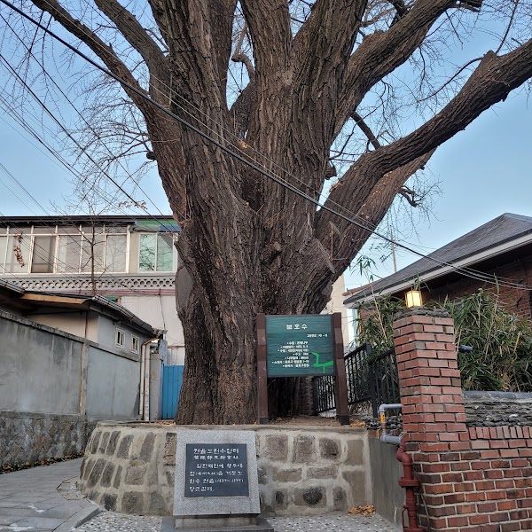 Dilkusha (Albert W. Taylor House) 3
