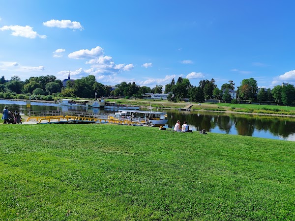 Fährgarten Johannstadt 4