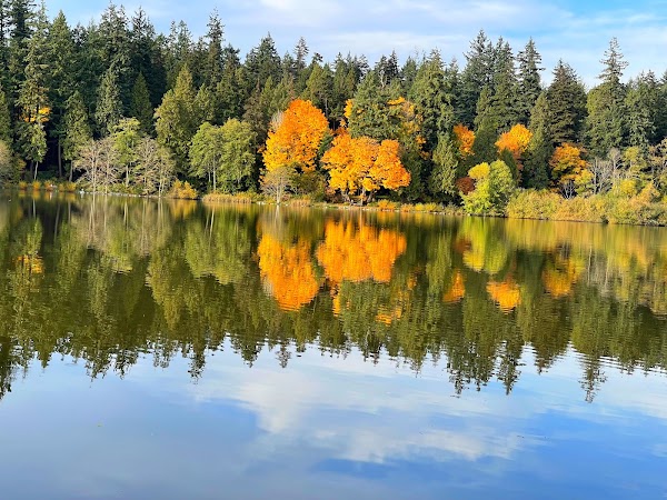Lost Lagoon, Stanley Park 4