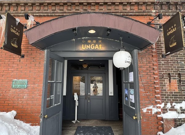 Unga Plus