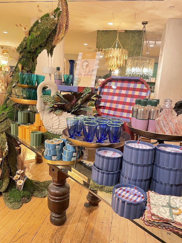 Anthropologie 4