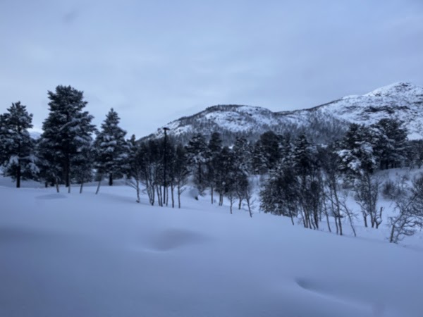 Haukelifjell 2