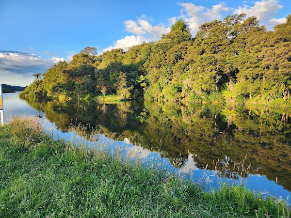Putāruru