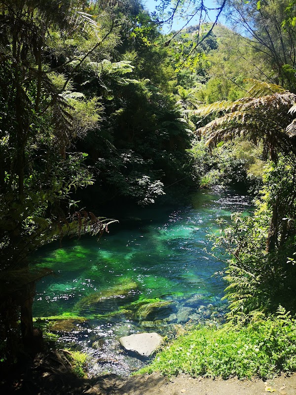 Putāruru 3