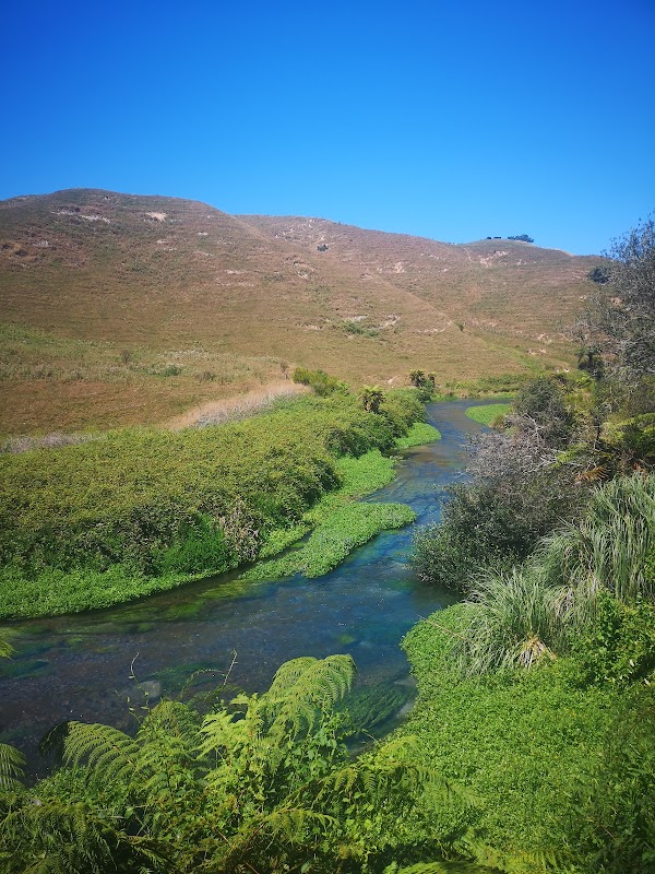 Putāruru 2