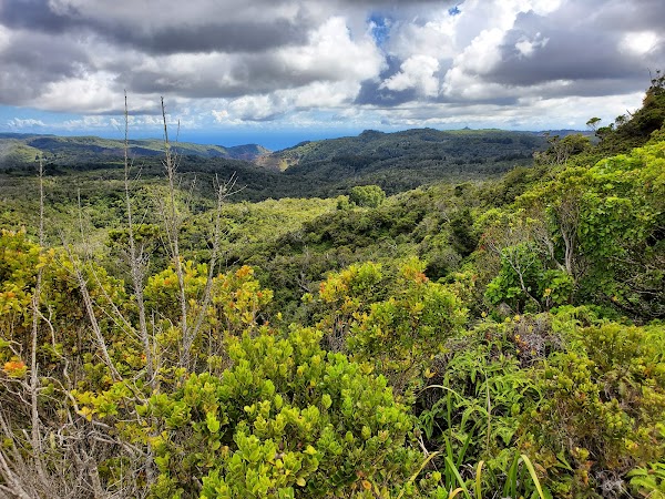 Kalalau Lookout 3