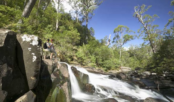 Barrington Tops National Park