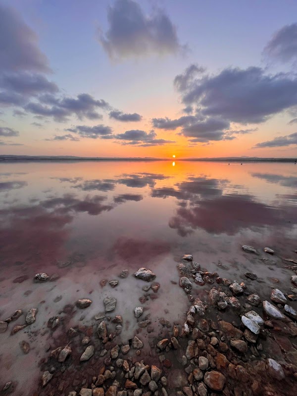The Pink Lake Of Torrevieja 4