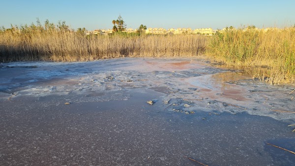 The Pink Lake Of Torrevieja 3