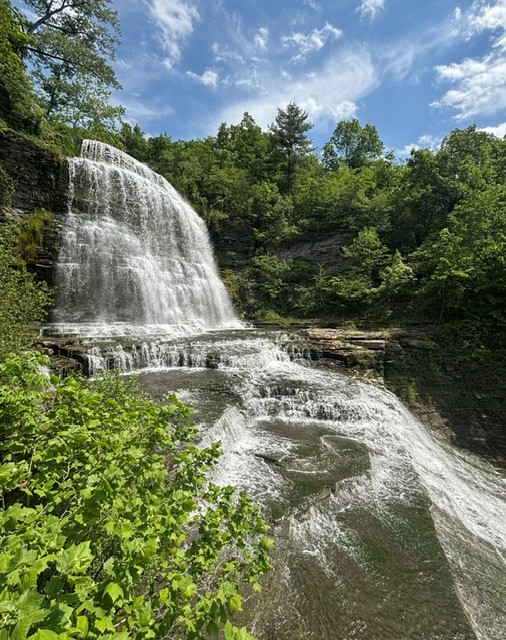 Falling Waters Boat Tours