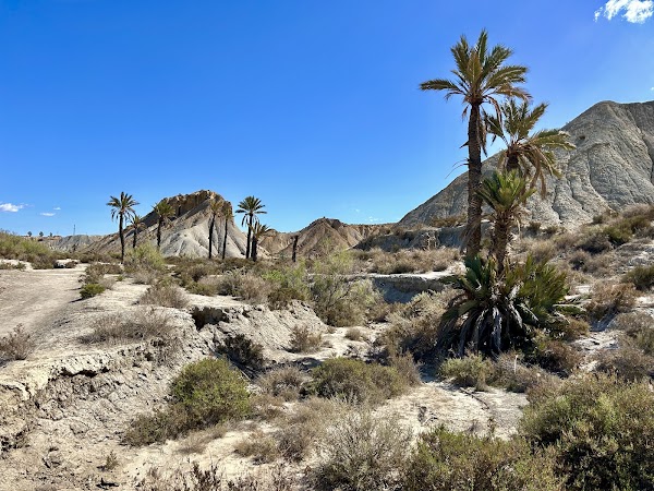 Tabernas Desert 4