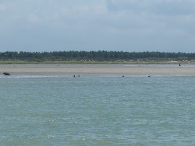 National Nature Reserve of the Somme