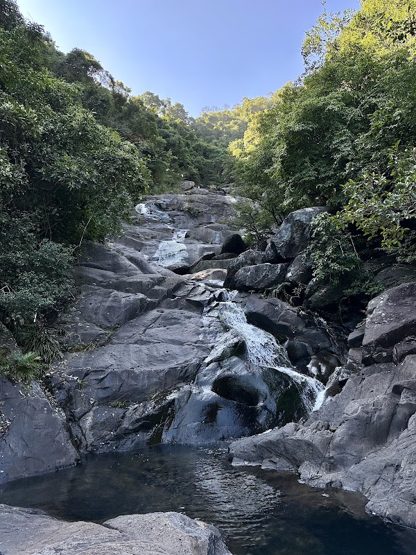 Wang Chung Stream 5