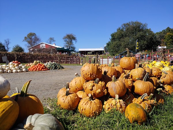 Butler's Orchard 3