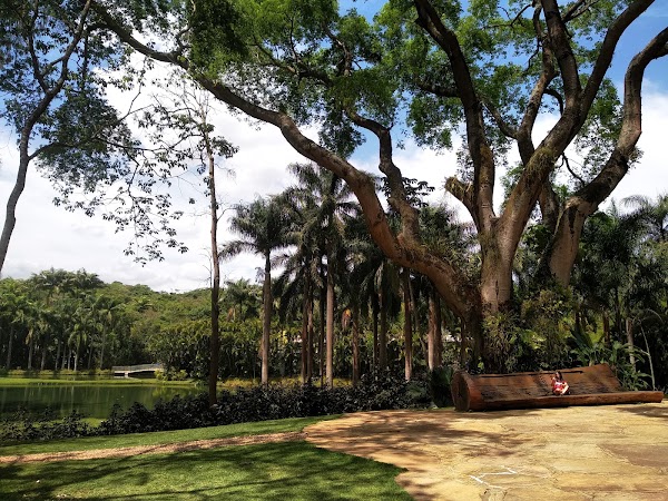 Inhotim Museum 2