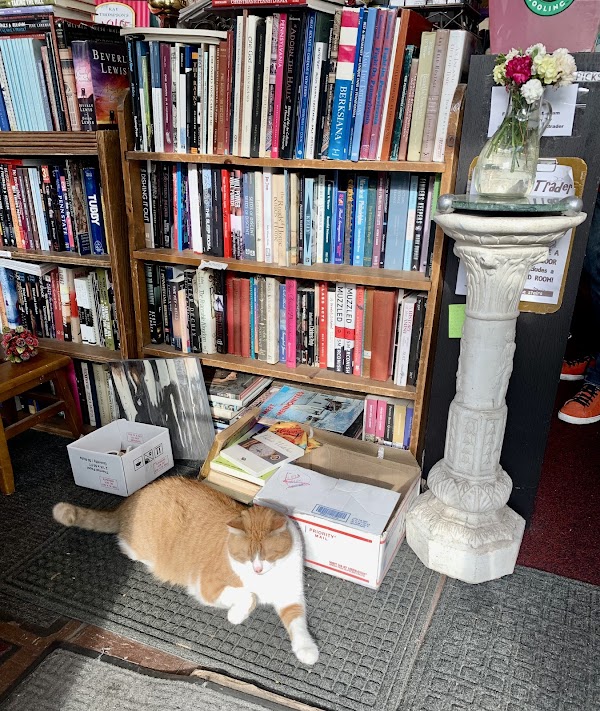 The Book Trader 4