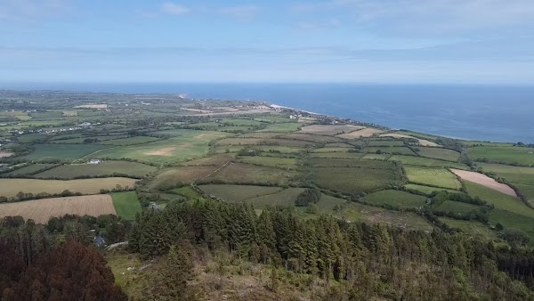 Tara Hill