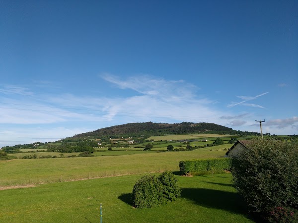 Tara Hill 5