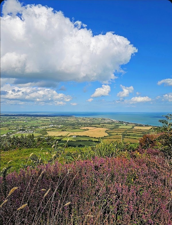 Tara Hill 3
