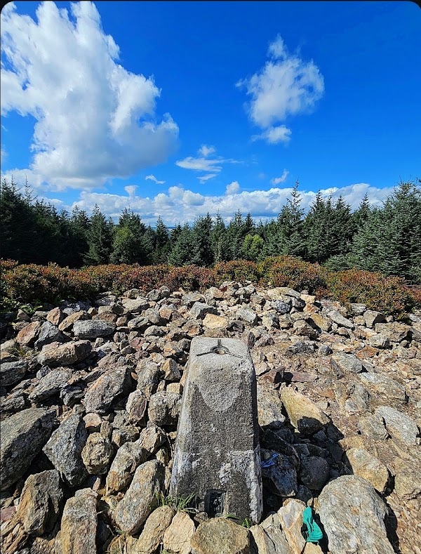Tara Hill 2