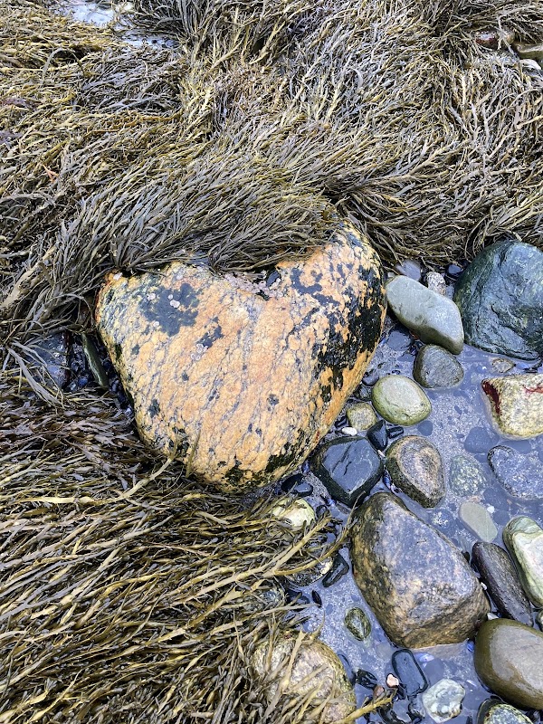 Skibotn