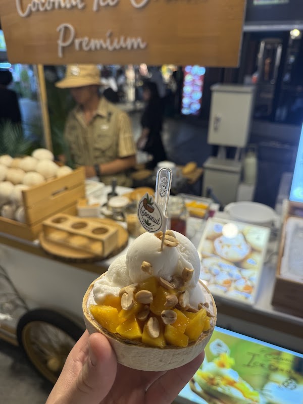 Coconut Ice cream 1