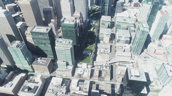 Yerba Buena 4