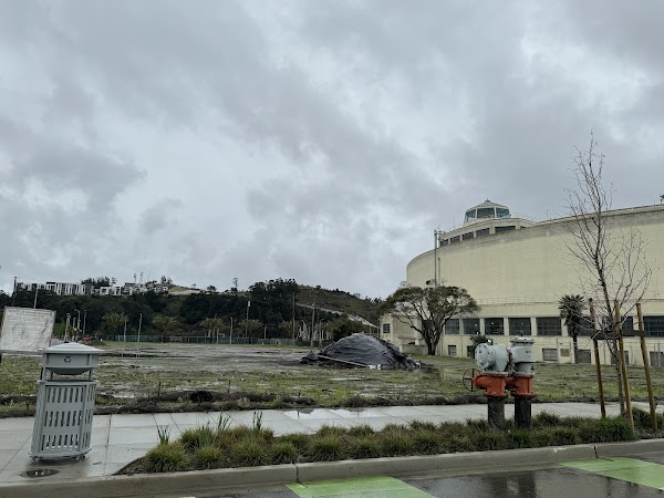 Yerba Buena 3