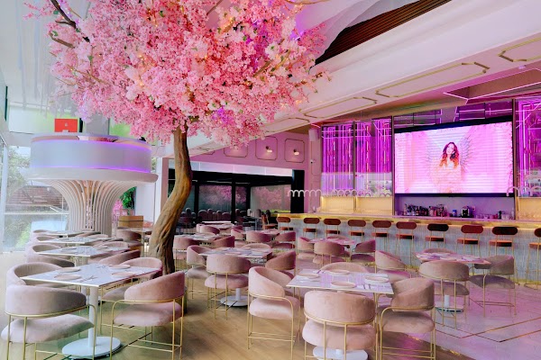 Pinky Room 1