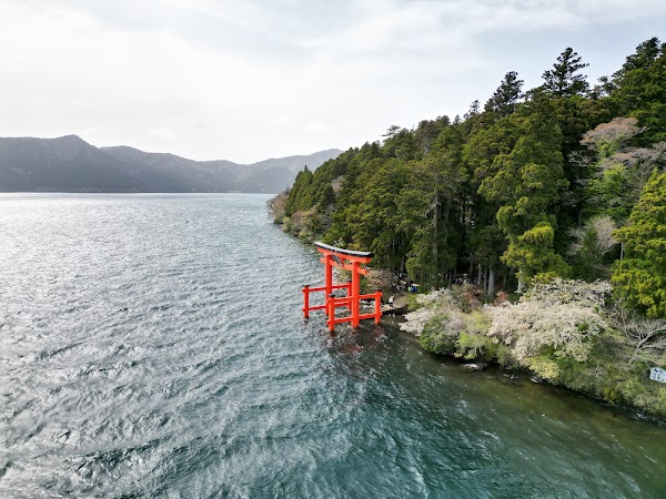 Hakone Shrine 1st Torii Gate 5
