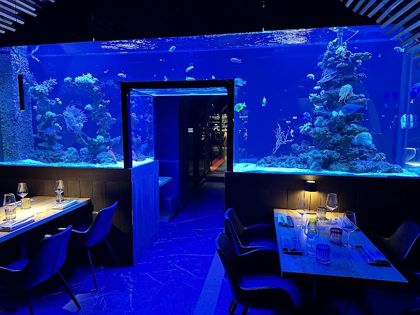 Nami Beef and Reef 5