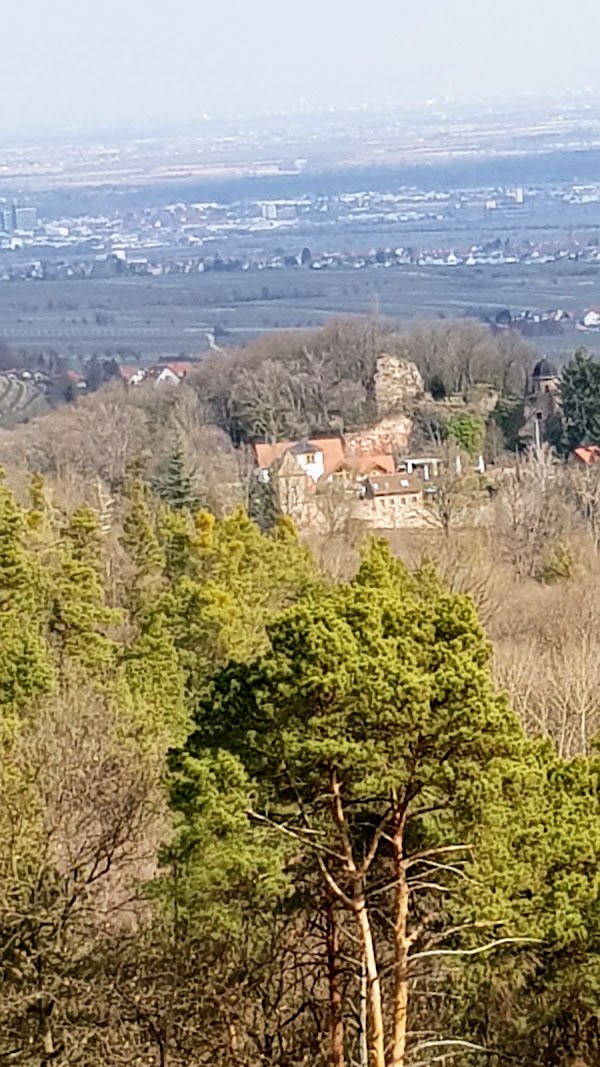 Edenkoben