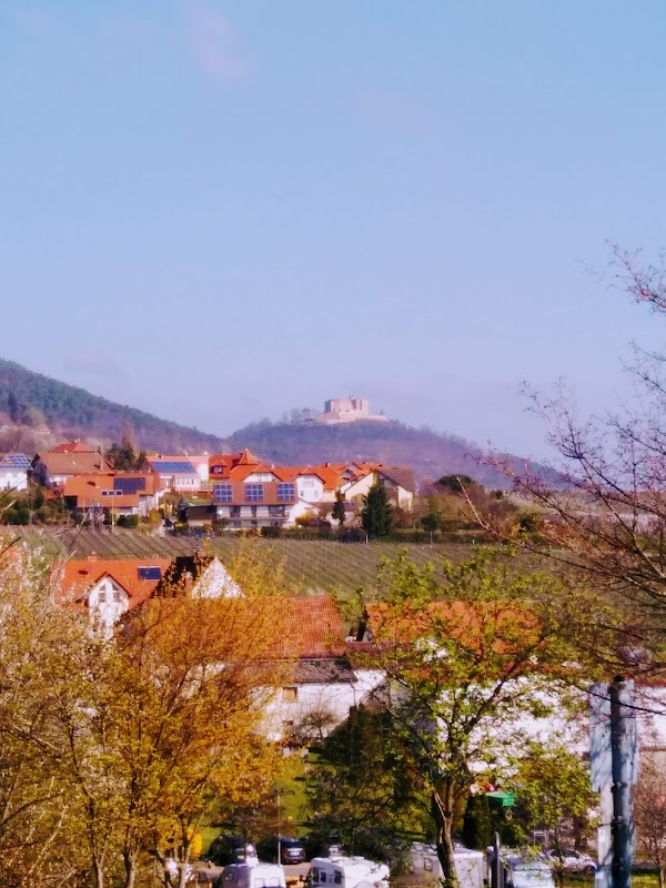 Edenkoben 5