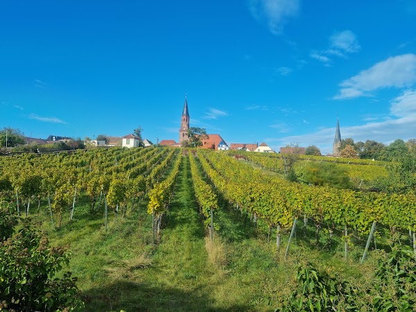 Edenkoben 2