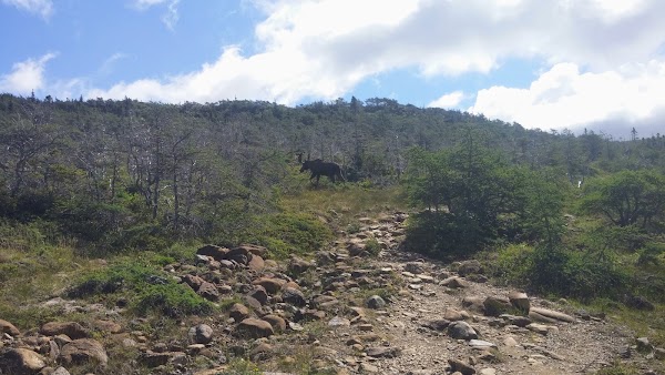 Green Gardens Trail 4