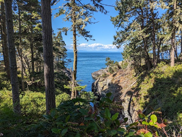 East Sooke Regional Park 5