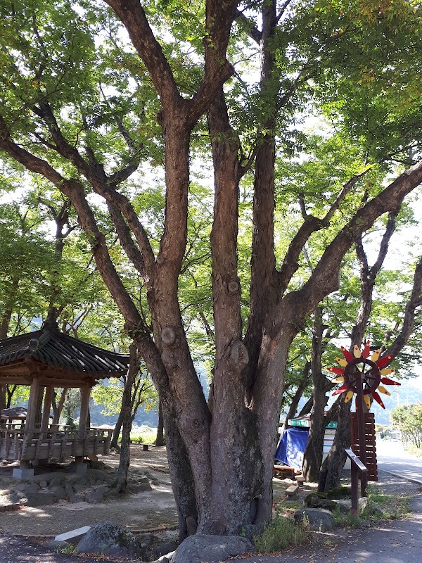 Handemi Village Office 2