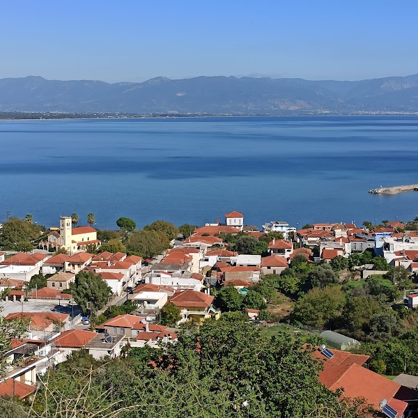 Petalidi