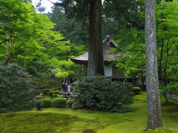 有清園 1