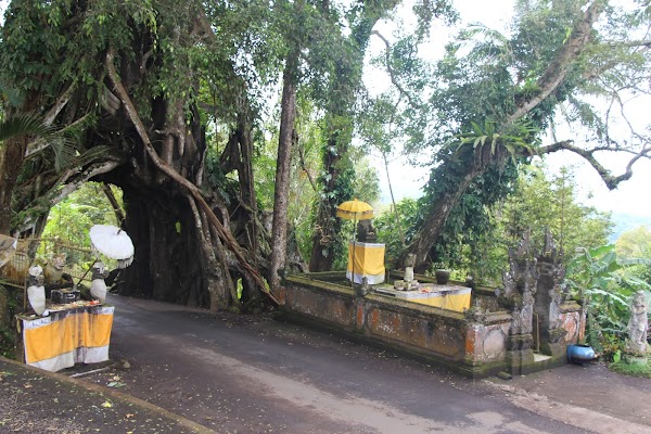 Bali 2026 45
