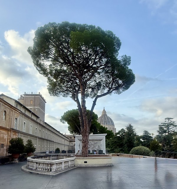 Cortile della Pinacoteca 3