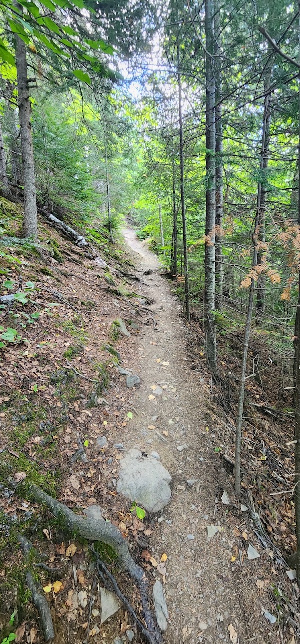 Top Of The Giant Trail 5