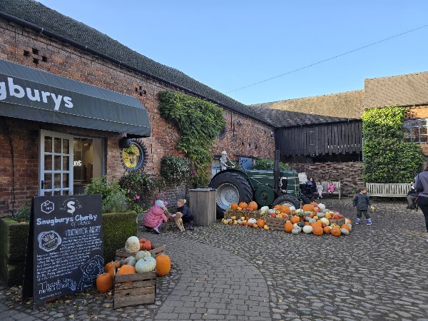 Snugburys Ice Cream 1