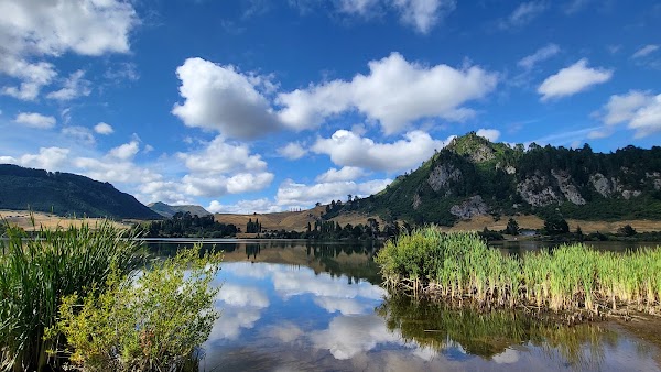 Lake Whakamaru Reserve 5