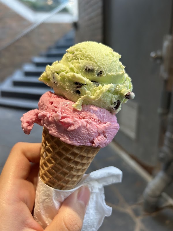 Summer's Ice Cream 5