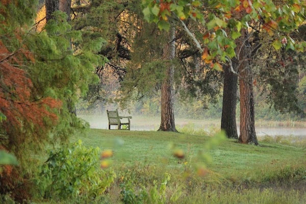 Bernheim Forest and Arboretum 1
