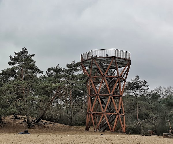 Nederland 7