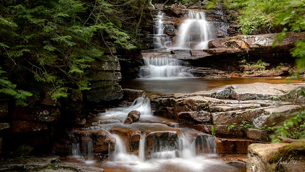 Bemis Brook