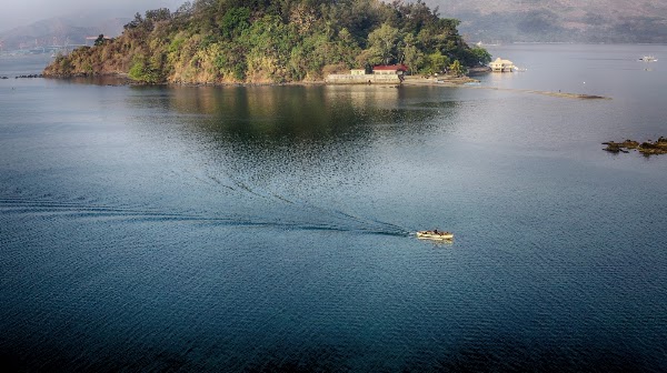 Snake Island 1