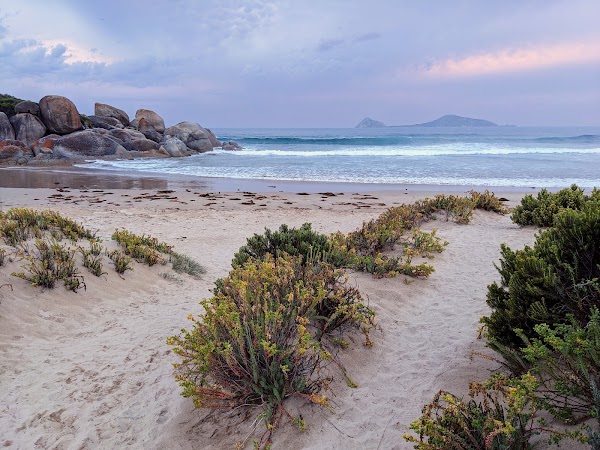 Whisky Bay 5
